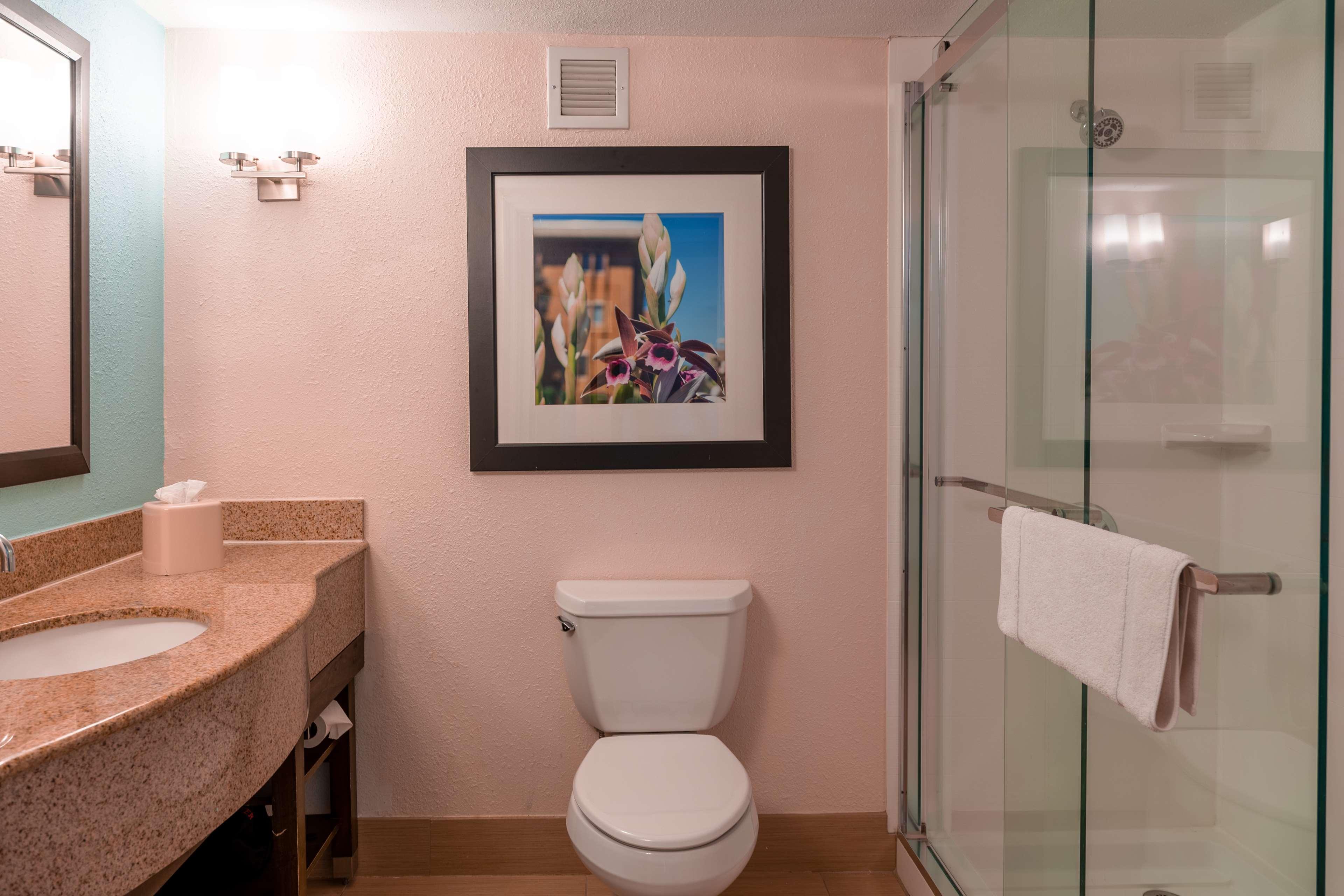 Hilton Garden Inn Orlando East - Ucf Area Alafaya Екстер'єр фото