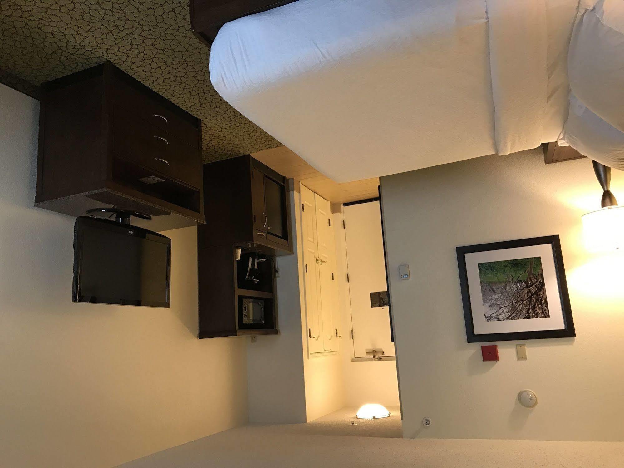 Hilton Garden Inn Orlando East - Ucf Area Alafaya Екстер'єр фото